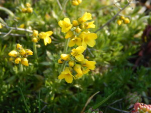 DSCN9751.JPG