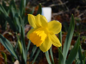 DSCN9752.JPG