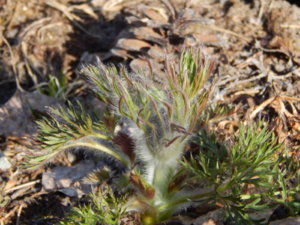 DSCN9743.JPG