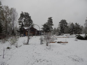 DSCN9753.JPG
