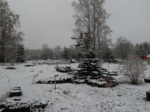 DSCN9764.JPG
