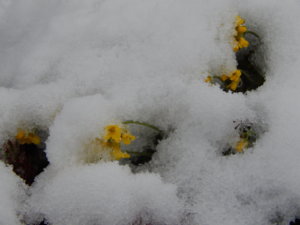 DSCN9759.JPG
