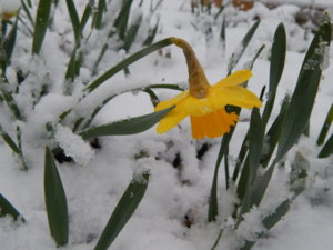DSCN9761.JPG