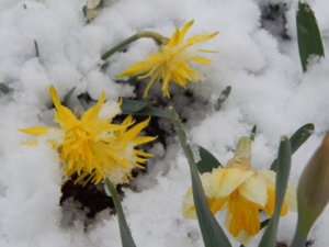 DSCN9762.JPG
