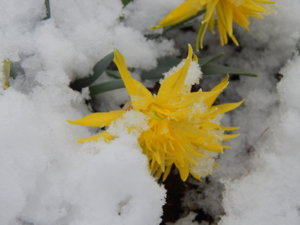 DSCN9763.JPG