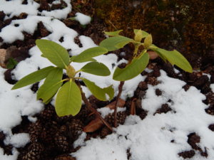 DSCN9765.JPG