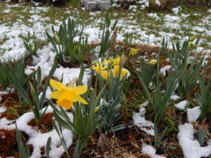 DSCN9768.JPG