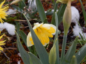 DSCN9769.JPG
