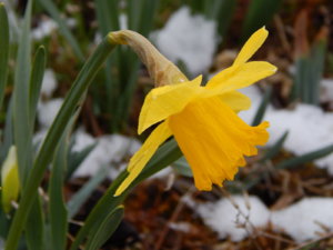 DSCN9771.JPG