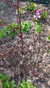 WP_20190503_14_55_17_Pro_LI.jpg