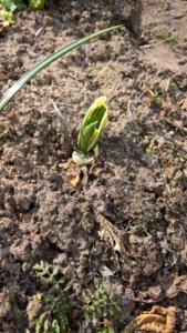 WP_20190503_15_00_03_Pro_LI.jpg
