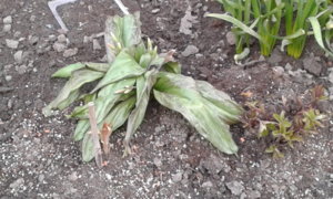 20190503_192726.jpg