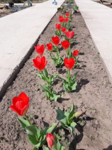20190501_120800.jpg