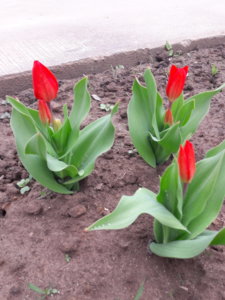 20190502_132400.jpg