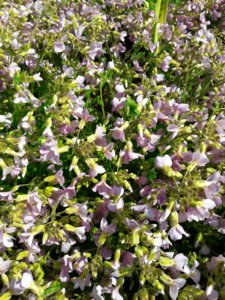 20190506_102403.jpg