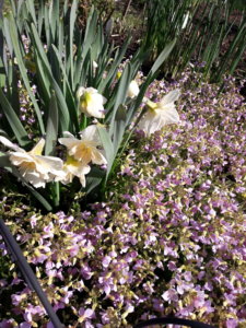 20190506_102352.jpg