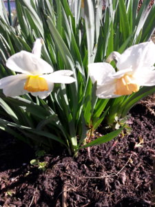 20190506_102913.jpg