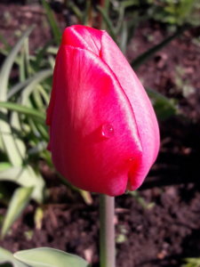 20190506_102758.jpg