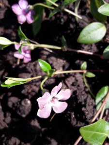 20190506_104047.jpg