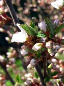 20190506_103912.jpg