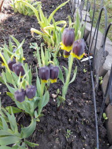 20190506_102523.jpg