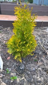 WP_20190506_12_22_59_Pro_LI.jpg