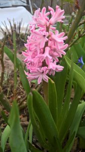 WP_20190506_09_11_43_Rich_LI.jpg