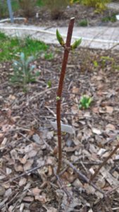 WP_20190506_12_17_41_Pro_LI.jpg