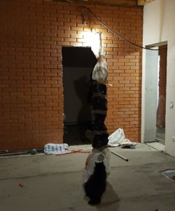 20190507_232428.jpg