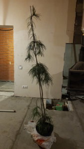 20190507_234016.jpg