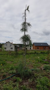 20190508_143827.jpg