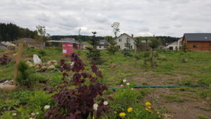 20190508_143736.jpg
