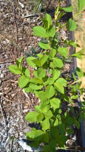 WP_20190508_12_05_44_Rich_LI.jpg