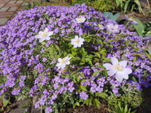 20170520_093737.jpg