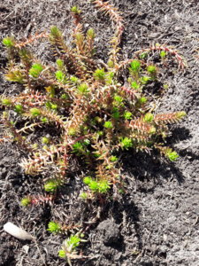 20190509_133750.jpg