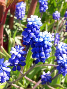 20190509_134259.jpg