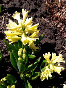 20190509_134550.jpg