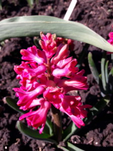 20190509_134622.jpg