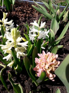 20190509_134536.jpg