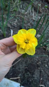 WP_20190511_14_45_00_Rich_LI.jpg