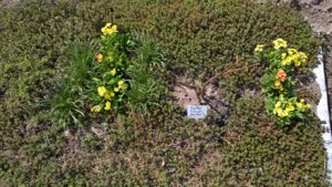 WP_20190510_13_48_27_Rich_LI.jpg