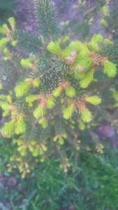 WP_20190510_12_48_07_Rich_LI.jpg