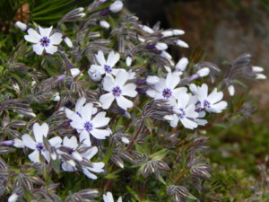 DSCN9784.JPG