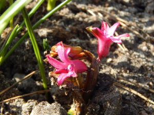 DSCN9735.JPG