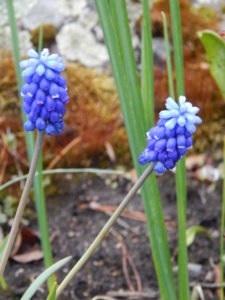 DSCN9843.JPG