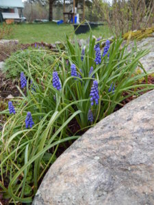 DSCN9854.JPG