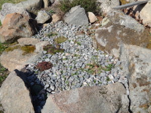DSCN9675.JPG
