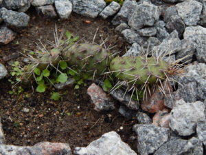 DSCN9849.JPG