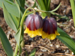 DSCN9773.JPG