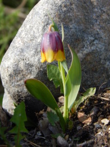 DSCN9775.JPG